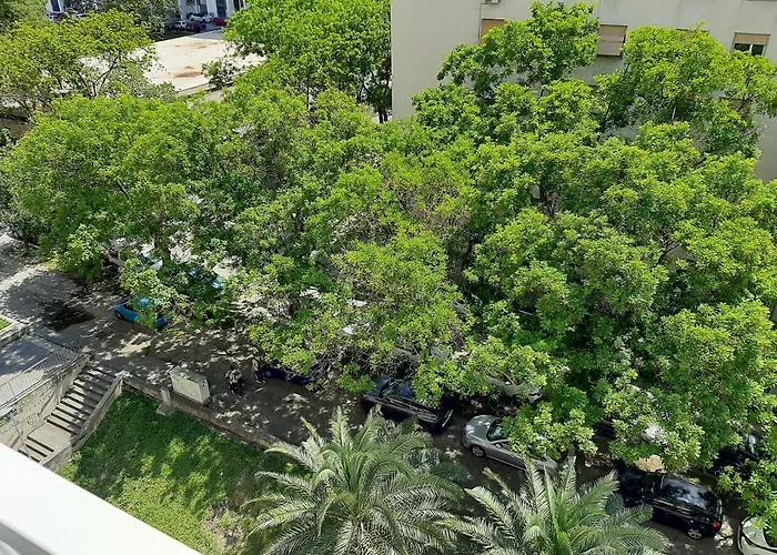 Lägenhet New Sunny With Balcony, Center