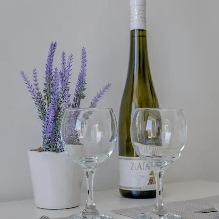 New Sunny With Balcony, Center Apartment Split